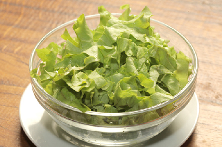 Zelena salata